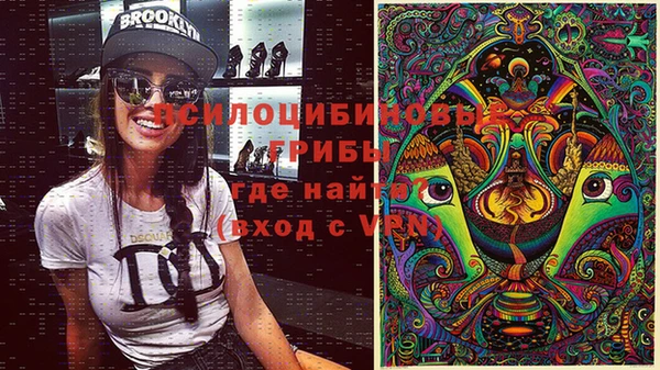 герыч Алзамай